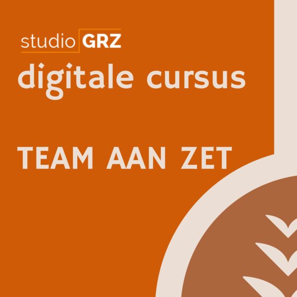 Digitale cursus TEAM AAN ZET